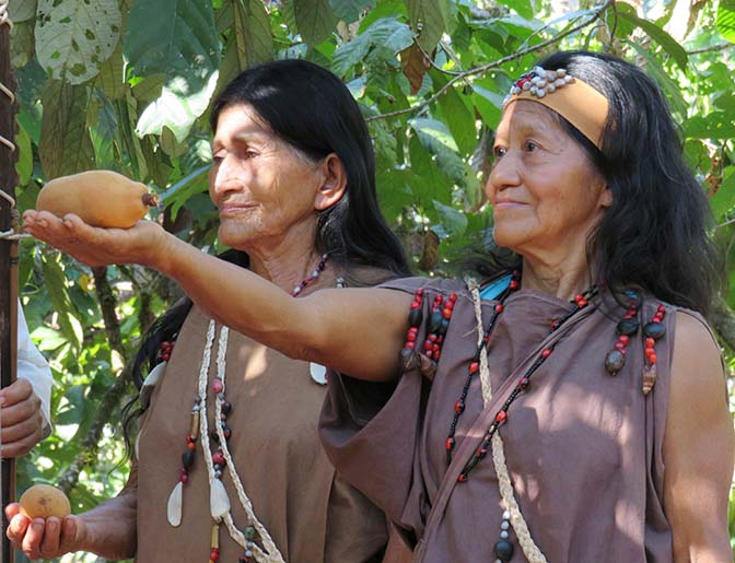 Cacao ganador-2